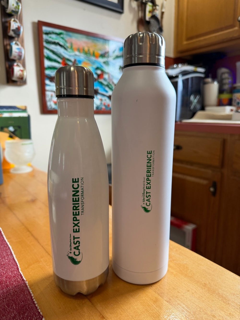 WDW Cast Experience White Stainless Steel Water Bottles - Set of 2